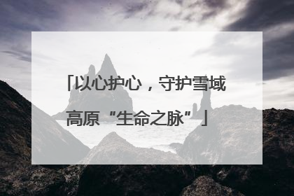 以心护心，守护雪域高原“生命之脉”