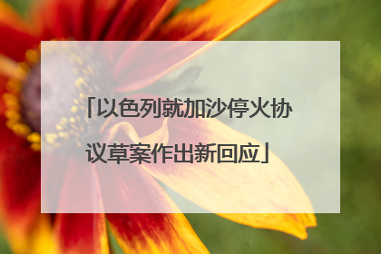 以色列就加沙停火协议草案作出新回应