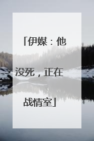 伊媒：他没死，正在战情室