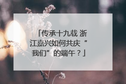 传承十九载 浙江嘉兴如何共庆“我们”的端午？