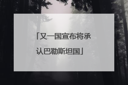 又一国宣布将承认巴勒斯坦国