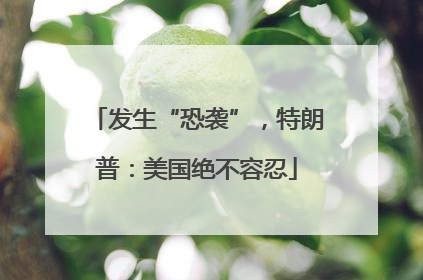 发生“恐袭”，特朗普：美国绝不容忍