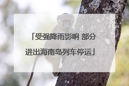 受强降雨影响 部分进出海南岛列车停运