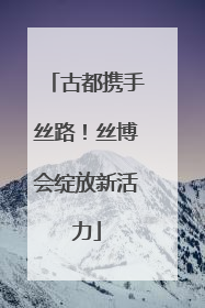 古都携手丝路！丝博会绽放新活力
