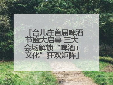 台儿庄首届啤酒节盛大启幕 三大会场解锁“啤酒+文化”狂欢矩阵