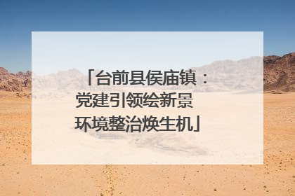 台前县侯庙镇：党建引领绘新景 环境整治焕生机