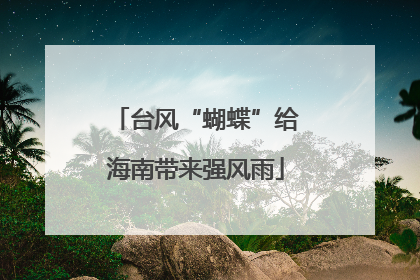 台风“蝴蝶”给海南带来强风雨