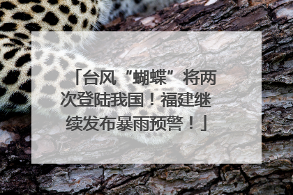 台风“蝴蝶”将两次登陆我国！福建继续发布暴雨预警！