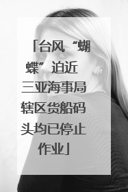 台风“蝴蝶”迫近 三亚海事局辖区货船码头均已停止作业