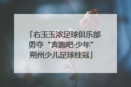 右玉玉浓足球俱乐部勇夺“奔跑吧·少年”朔州少儿足球桂冠