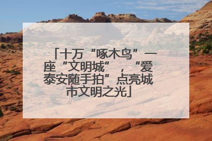 十万“啄木鸟”一座“文明城”，“爱泰安随手拍”点亮城市文明之光