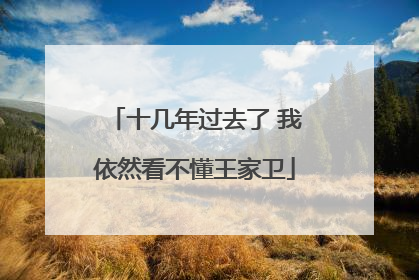 十几年过去了 我依然看不懂王家卫