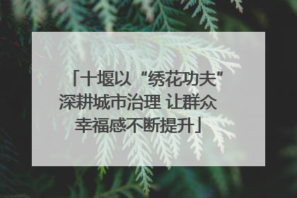 十堰以“绣花功夫”深耕城市治理 让群众幸福感不断提升
