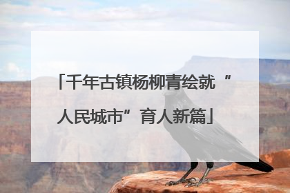 千年古镇杨柳青绘就“人民城市”育人新篇