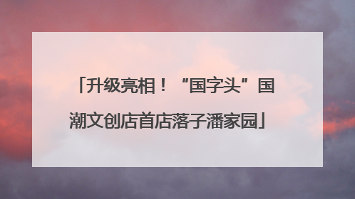 升级亮相！“国字头”国潮文创店首店落子潘家园