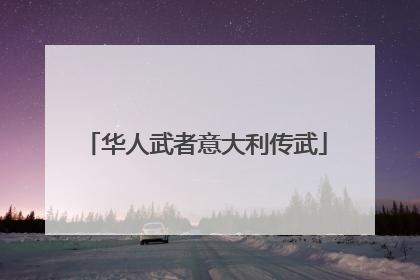 华人武者意大利传武
