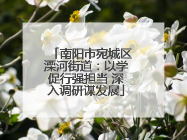 南阳市宛城区溧河街道：以学促行强担当 深入调研谋发展