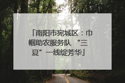 南阳市宛城区：巾帼助农服务队 “三夏”一线绽芳华