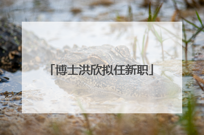 博士洪欣拟任新职