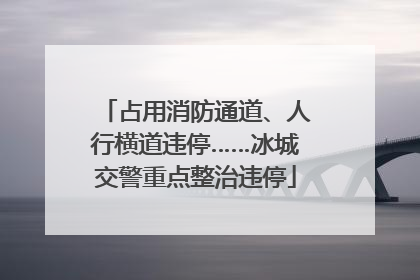 占用消防通道、人行横道违停……冰城交警重点整治违停