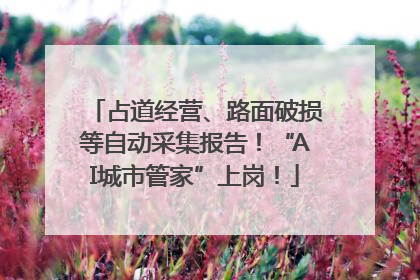 占道经营、路面破损等自动采集报告！“AI城市管家”上岗！