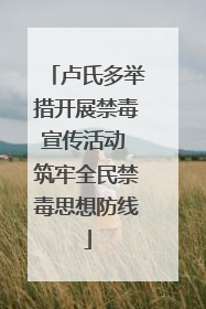 卢氏多举措开展禁毒宣传活动 筑牢全民禁毒思想防线
