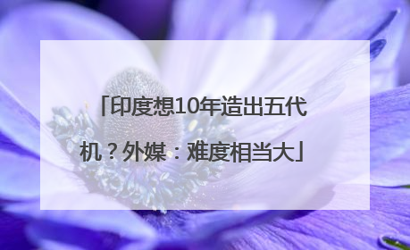 印度想10年造出五代机？外媒：难度相当大