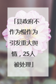 县政府不作为慢作为引发重大舆情，25人被处理