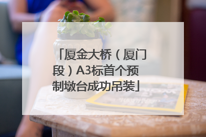 厦金大桥（厦门段）A3标首个预制墩台成功吊装