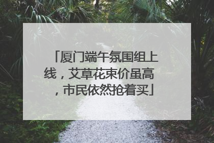 厦门端午氛围组上线，艾草花束价虽高，市民依然抢着买