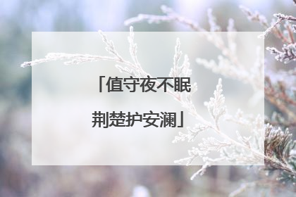 值守夜不眠 荆楚护安澜