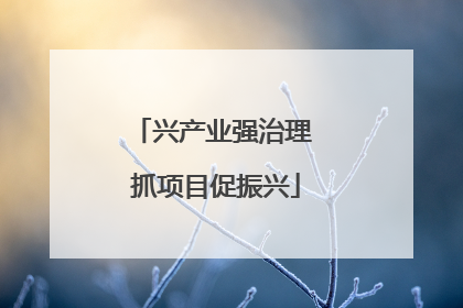 兴产业强治理 抓项目促振兴