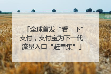全球首发“看一下”支付，支付宝为下一代流量入口“赶早集”