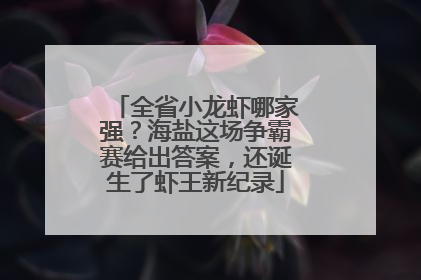 全省小龙虾哪家强？海盐这场争霸赛给出答案，还诞生了虾王新纪录