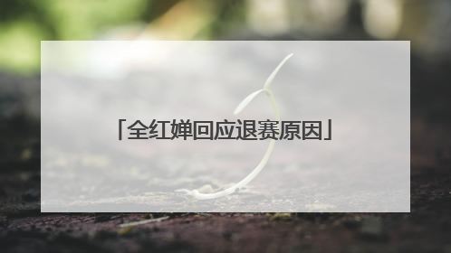 全红婵回应退赛原因
