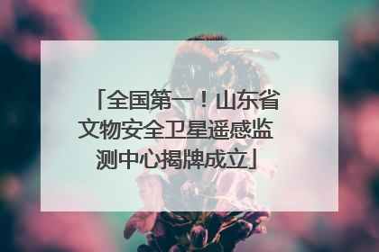 全国第一！山东省文物安全卫星遥感监测中心揭牌成立