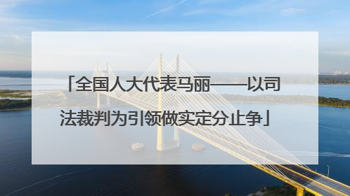 全国人大代表马丽——以司法裁判为引领做实定分止争