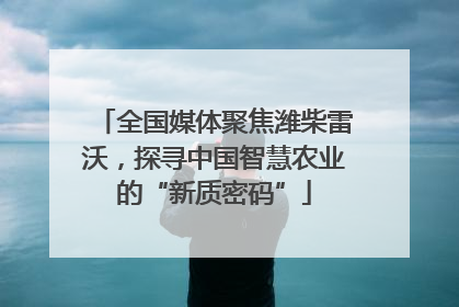 全国媒体聚焦潍柴雷沃，探寻中国智慧农业的“新质密码”