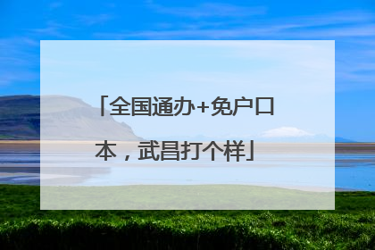 全国通办+免户口本，武昌打个样
