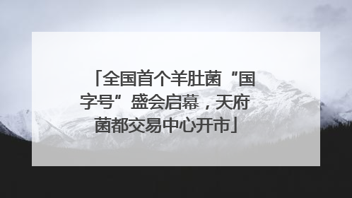 全国首个羊肚菌“国字号”盛会启幕,天府菌都交易中心开市