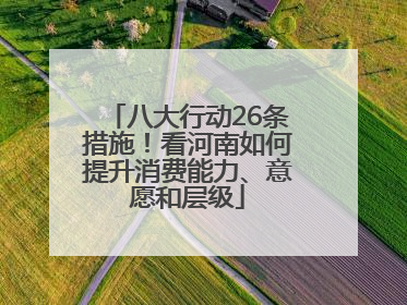 八大行动26条措施！看河南如何提升消费能力、意愿和层级