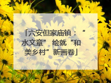 六安但家庙镇：“水文章” 绘就“和美乡村”新画卷