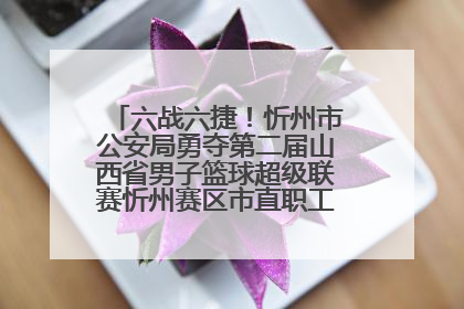 六战六捷！忻州市公安局勇夺第二届山西省男子篮球超级联赛忻州赛区市直职工组比赛冠军
