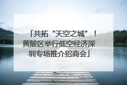 共拓“天空之城”！黄陂区举行低空经济深圳专场推介招商会