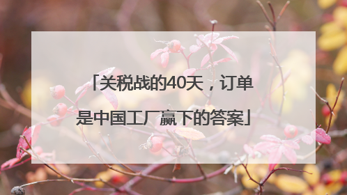 关税战的40天，订单是中国工厂赢下的答案