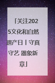 关注2025文化和自然遗产日丨守真守艺 器象新章