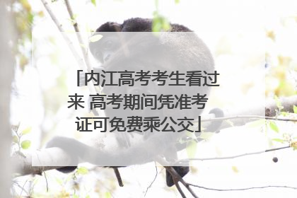 内江高考考生看过来 高考期间凭准考证可免费乘公交