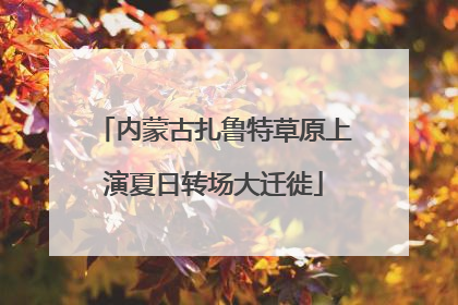 内蒙古扎鲁特草原上演夏日转场大迁徙