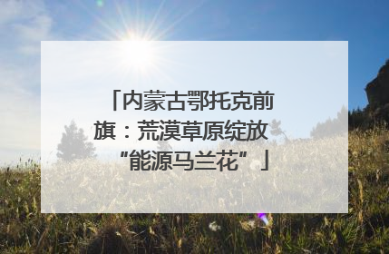 内蒙古鄂托克前旗：荒漠草原绽放“能源马兰花”