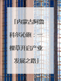 内蒙古阿鲁科尔沁旗：一棵草开启产业发展之路